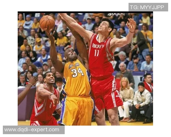 姚明与NBA传奇球星的完美组合探秘与成就回顾